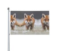 Drapeaux décoratifs double face, jolis drapeaux à motif renard avec œillets, adaptés pour accrocher dans les jardins et les fêtes.
