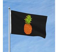 Drapeaux d'extérieur 3x5 avec motif ananas peints à la main, double face, avec 2 œillets en laiton, pour la décoration de votre terrasse ou pelouse, noir.