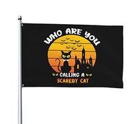 Drapeaux d'Halloween « Qui appelez-vous un chat effrayé » Bannière extérieure 4 x 6 pieds pour extérieur Drapeau longue durée en polyester avec 2 œillets en laiton Drapeaux de décoration de pelouse de