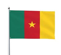 Drapeaux du Cameroun, drapeaux décoratifs d'extérieur 0,9 x 1,5 m 100% polyester drapeaux à l'extérieur du drapeau tous temps, la couleur est lumineuse et facile à estomper, séchage rapide.