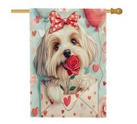 Drapeaux havanais de Saint-Valentin pour maison de chien 71,1 x 101,6 cm pour extérieur, lettres d'amour, chiot, drapeaux verticaux standard en lin, pour amant, cour, arrière-cour imprimée, décoration