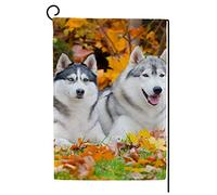 Drapeaux Huskies de Sibérie heureux dans un parc en automne Résistant à la Décoloration Bruant Résistants aux Intempéries Drapeau pour Bar Anniversaire 30x45cm