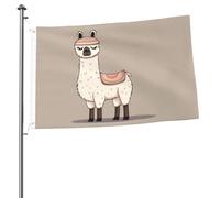 Drapeaux lama No Drama pour extérieur 6,1 x 91,4 cm, drapeau de jardin saisonnier double face avec œillets, drapeau d'extérieur pour décoration de maison, toile de fond pour photo