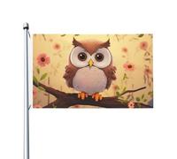 Drapeaux mignons en forme de chouette pour l'extérieur - 9,1 x 1,5 m - Drapeau de jardin saisonnier double face avec œillets - Drapeau d'extérieur pour décoration de maison, toile de fond pour photo
