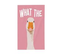 Drapeaux minimalistes de style dessin animé blanc pour maison d'oie, 9,6 x 1,5 m, bannière de vœux avec œillets, décoration d'intérieur ou d'extérieur