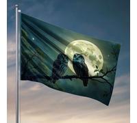 Drapeaux muraux pour gars, deux hiboux perchés sur une branche sous une pleine lune. Drapeaux amusants pour chambre de garçons (120 x 180 cm)