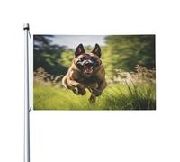 Drapeaux Personnalisé Chiens Malinois Belges Pirate Drapeaux Résistants Aux Intempéries Drapeau De Jardin Pour Festival, Jardin, Décoration D'Halloween, 90X150cm