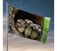 Drapeaux pour chambre à coucher avec trois hiboux avec de grands yeux regardant hors d'un arbre, drapeau creux amusant, décoration de chambre à coucher pour hommes (120 x 180 cm)