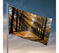 Drapeaux pour chambre d'adolescents garçons Un chemin bordé d'arbres baigné dans la lumière du soleil d'automne. Drapeau homme, grotte, bar, décoration de cour (60 x 90 cm)