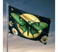 Drapeaux pour chambre de fille Motif papillon vert avec taches oranges sur ses ailes Drapeau Man Cabe Décor Accessoires de chambre (30 x 45 cm)