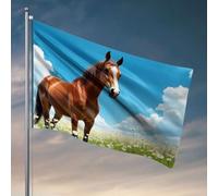 Drapeaux pour chambre de fille Un cheval marron debout dans un champ de fleurs blanches sous un ciel bleu. Drapeau Man Cabe Decor Accessoires de chambre à coucher (152 x 244 cm)