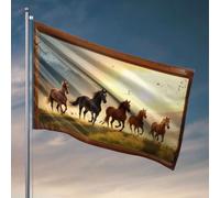 Drapeaux pour chambre de garçons Cinq chevaux Gallop à travers un champ herbeux au coucher du soleil. Drapeaux pour dortoir, drapeaux pour chambre de gars drôles (60 x 90 cm)