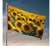 Drapeaux pour chambre garçons Sunshine Fields : une mer de drapeaux jaunes vibrants pour les dortoirs Règles des grottes de l'homme (30 x 45 cm)