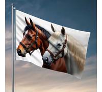 Drapeaux pour dortoir universitaire Deux chevaux majestueux : une belle paire de drapeaux rétro décoration de chambre vintage (60 x 90 cm)