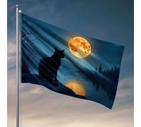 Drapeaux pour dortoir universitaire Un chat noir assis près d'un lac sous une pleine lune. Drapeaux de jardin décoratifs pour l'hiver (60 x 90 cm)