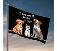 Drapeaux pour garçons True Not! Que Lui A Fair! Drapeau décoratif pour chambre à coucher pour homme trucs cool pour votre chambre (30 x 45 cm)