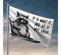 Drapeaux pour homme avec inscription « It Is What It Is. Go Isn'T Great. » Décoration musicale (30 x 45 cm)