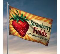 Drapeaux universitaires pour dortoir champs de fraises : drapeau d'entrée non autorisée, décoration de piscine, drapeau de porche extérieur (60 x 90 cm)