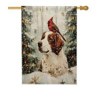 Drapeaux verticaux en lin pour maison de Noël Bretagne - 71,1 x 101,6 cm - Double face pour l'extérieur - Motif cardinal enneigé - Pour maison, animal domestique