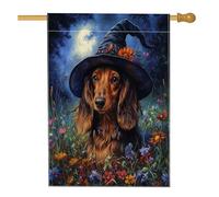 Drapeaux verticaux en lin pour maison, extérieur, chien, sorcière, teckel, 71,1 x 101,6 cm, double face pour extérieur, chiot cool, jardin, fleur, maison, drapeau à motif amusant pour animal