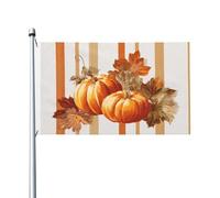 Drapeaux vintage citrouilles orange et feuilles d'automne pour maison, cour, 9,5 x 1,5 m, bannière de vœux avec œillets, décoration d'intérieur ou d'extérieur