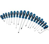Draper Tools Jeu de tournevis 19 pièces Bleu 09548