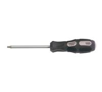 Draper Torx Star Screwdriver T25 X 100Mm Long 40053