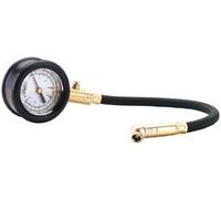 Draper TPG100A Manomètre pour Pression de Pneu Tuyau Flexible, Bleu