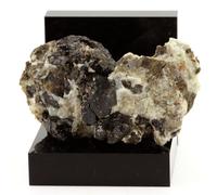 Dravite. 212.5 Ct. Gypsum Quarry, Arignac, Ariège, France. Ultra Rare.