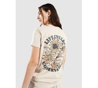 Dravus Life Cycles T-Shirt L