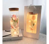 Drawelry Rose Eternelle sous Cloche Fleurs Artificielle avec LED Veilleuse Lumière Décoration Romantique Cadeau pour Femme, Amante, Petite Amie, Saint Valentin, Mariage Maison Décor (Rose, Tulipe)