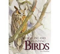 Drawing and Painting Birds