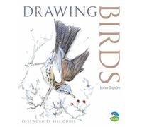 Drawing Birds