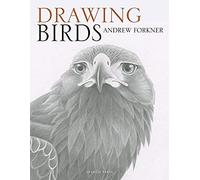 Drawing Birds