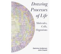 Drawing Processes Of Life