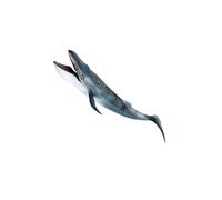 drburpily Simulation de créatures Marines, Figurine d'animal de Baleine, Jouet de Piscine pour Enfants, Cadeau pour la Maison, Le Bureau, décoration de Table, Figurines très