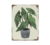 Dreacoss Plaque en métal, style rétro, affiche fantaisie, peinture en fer, plaque en étain pour plante d'intérieur Begonia Maculata, impression d'art de bégonia maculata, plaque en étain pour amoureux