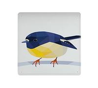 Dreacoss Plaque vintage en métal Tomtit New Zealand Tomtit Miromiro - Art mural - Décoration murale - Oiseaux indigènes - Décoration de jardin - 30 x 30 cm