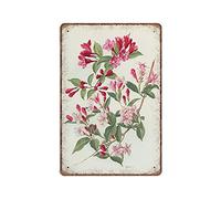 Dreacoss Weigela - Plaque en étain motif botanique vintage de 1972 - Motif floral violet - Décoration murale amusante - Pour pub, bar, cuisine, jardin, salle de bain - 20,3 x 30,5 cm