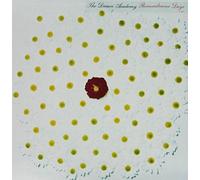 Dream Academy - Remembrance Days