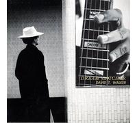 David T Walker - Dream Catcher [Ltd Edition]