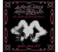 La Monte Young & Marian Zazeela Dream House 78' 17" (Vinyl) 12" Album