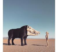 Dream Hunting Valley of The in-Between