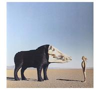 Dream Hunting Valley of The in-Between-Vinyle Rose