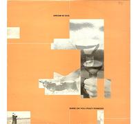 Dream In Goa - Shine On You Crazy Diamond 12 Inch (12" Vinyl Single) UK Rumour