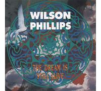 DREAM IS STILL ALIVE 7" (45) UK SBK 1991 RADIO EDIT B/W NEXT TO YOU (SBK31) PIC SLEEVE