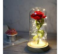 Dream Loom La Belle et la Bête Rose, Forever Rose Fleurs dans Un Dôme Transparent avec Bande Lumineuse LED, pour la Saint-Valentin Fête de Mariage Fête des mères Décorations de Bureau à Domicile
