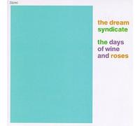 Dream Syndicate - Days of Wine & Roses