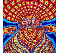 Dream Syndicate,the - The Universe Inside (Us Edit) [Import]