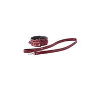 Dream Toys Blaze Elite Collar and Leash Red 159 cm